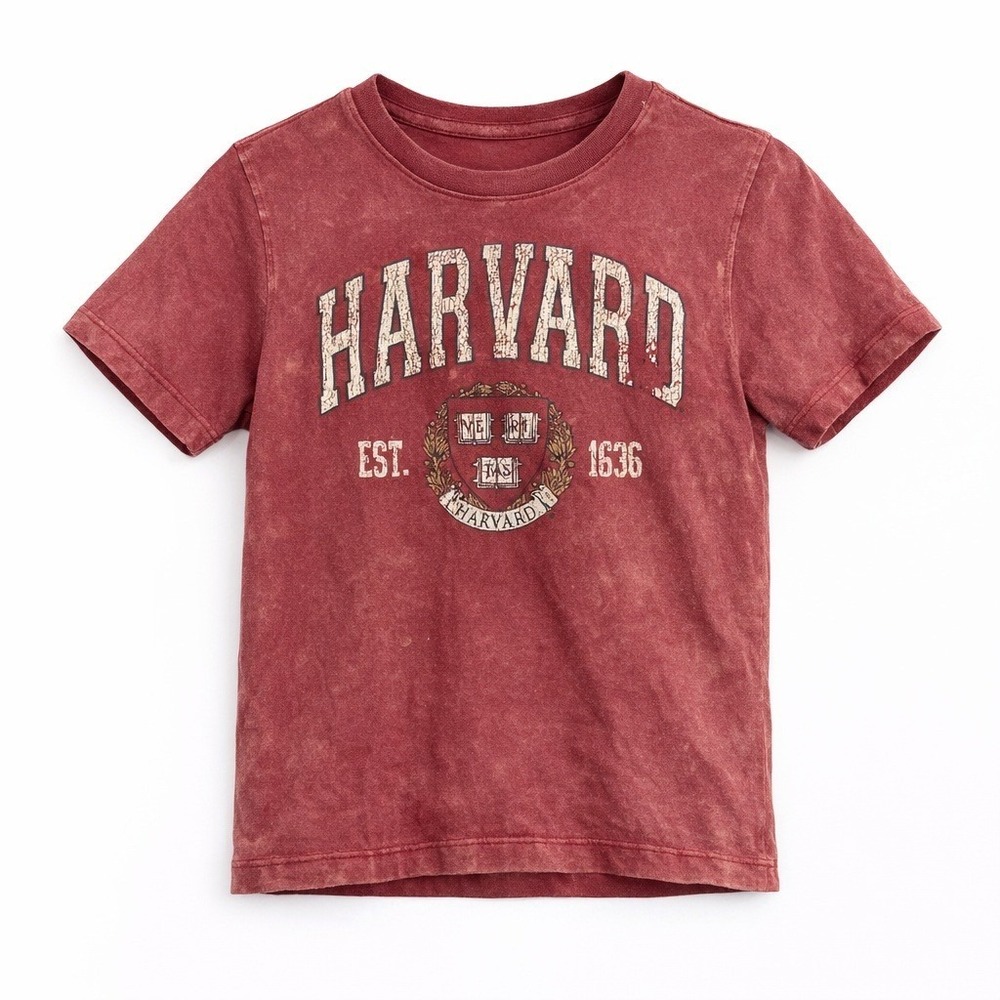 Harvard University Kids Marsala Red Mineral Wash Graphic T-Shirt‎ Size L 10/12